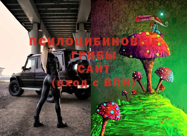 молекула духа Тавда