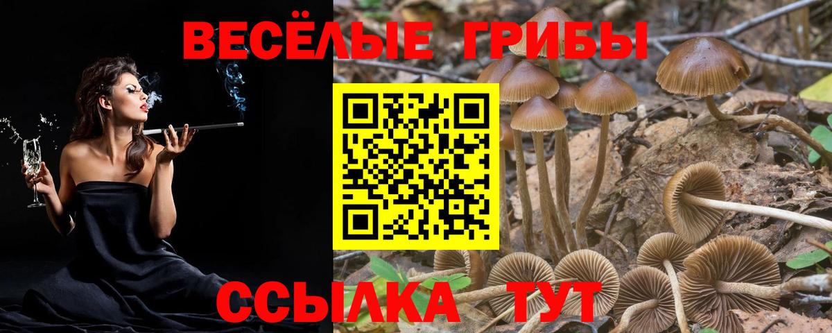 Меф МЯУ МЯУ  КЕТАМИН  Гашиш  Печора  Кокаин  Вход с VPN  Мефедрон   МАРИХУАНА  MDMA 